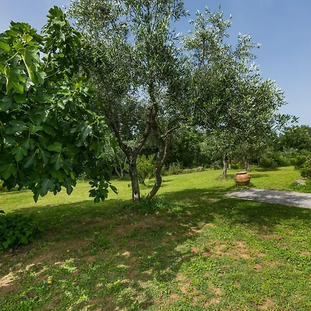 Il Piccione By Interhome *